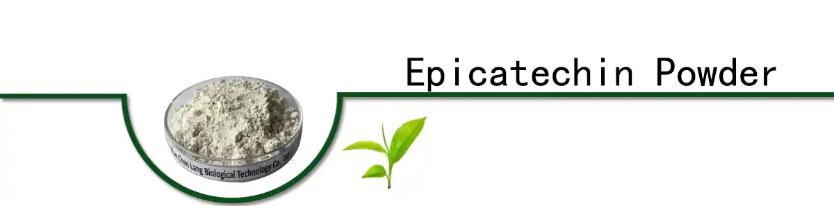 Epicatechin .jpg
